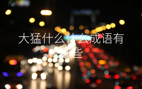 大猛什么什么成语有哪些