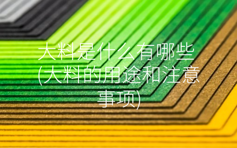 大料是什么有哪些 (大料的用途和注意事项)