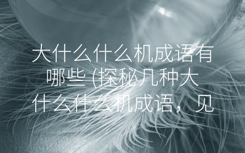大什么什么机成语有哪些 (探秘几种大什么什么机成语，见证人类科技与智慧的奇迹。)