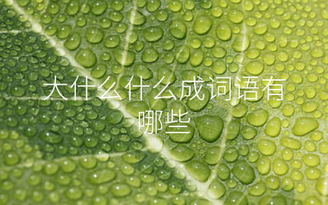 大什么什么成词语有哪些