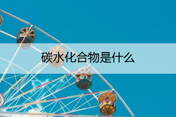 碳水化合物是什么 碳水化合物是什么营养成分