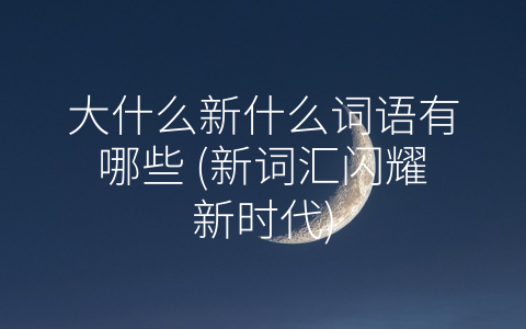 大什么新什么词语有哪些 (新词汇闪耀新时代)