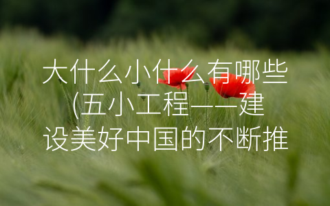 大什么小什么有哪些 (五小工程——建设美好中国的不断推进)