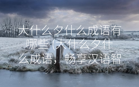 大什么夕什么成语有哪些 (大什么夕什么成语，畅享汉语智慧与传统文化)
