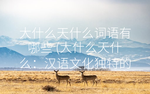 大什么天什么词语有哪些 (大什么天什么：汉语文化独特的修辞手法)