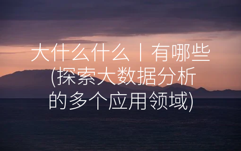 大什么什么丨有哪些 (探索大数据分析的多个应用领域)