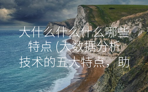 大什么什么什么哪些特点 (大数据分析技术的五大特点，助力企业决策-making的发展。)