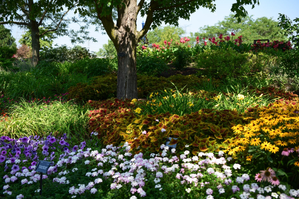 slowly的比较级和最高级