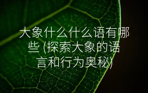 大象什么什么语有哪些 (探索大象的语言和行为奥秘)