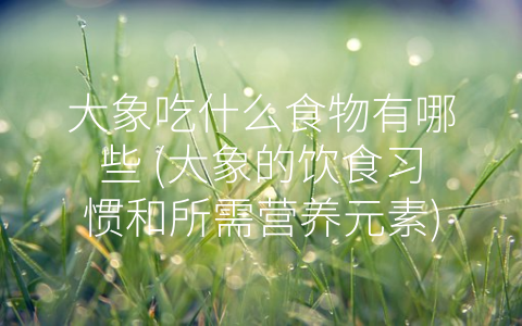大象吃什么食物有哪些 (大象的饮食习惯和所需营养元素)