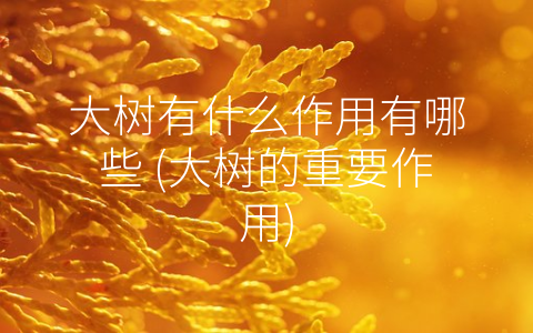 大树有什么作用有哪些 (大树的重要作用)