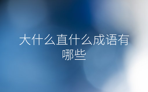 大什么直什么成语有哪些