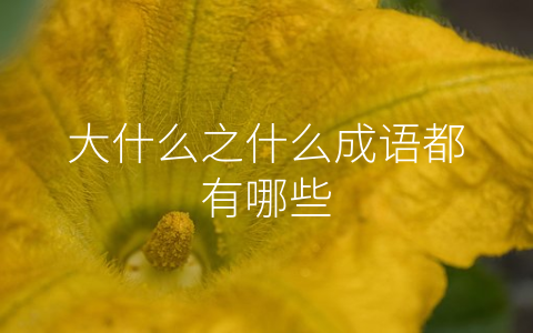 大什么之什么成语都有哪些