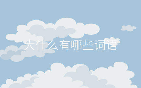 大什么有哪些词语