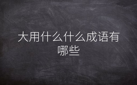 大用什么什么成语有哪些