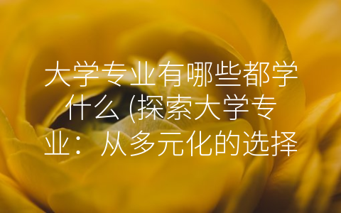 大学专业有哪些都学什么 (探索大学专业：从多元化的选择到聚焦行业需求)