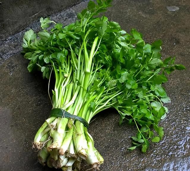 这几种蔬菜成堆的寄生虫(蔬菜能生吃吗有寄生虫吗)图3