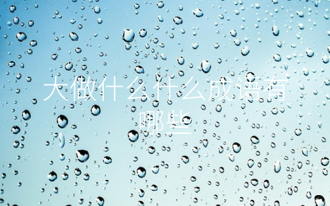 大做什么什么成语有哪些