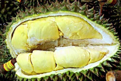 榴莲是否成熟 怎样判断榴莲的成熟度高低