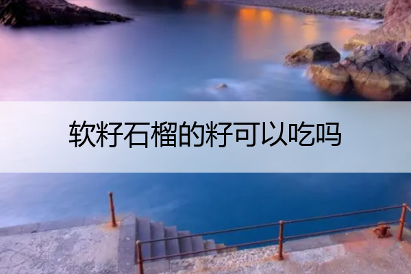 软籽石榴的籽可以吃吗 软籽石榴的籽可以吃吗有毒吗
