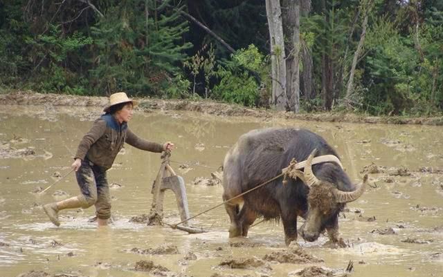 为什么古代不执行女耕男织 而变成了男耕女织呢