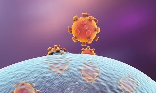 美国白蛾入侵中国，1只可繁衍2亿只，毁森林占房屋，成中国噩梦图7