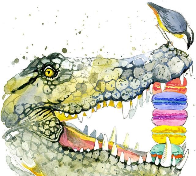 十大最强鳄鱼,鳄鱼的八大之最图4