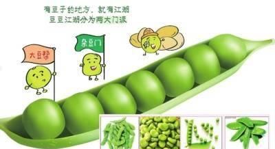夏季吃豆胜过吃肉首选竟是这种豆