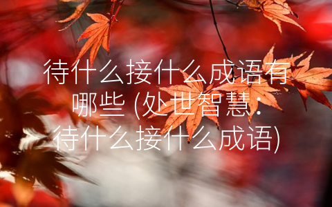 待什么接什么成语有哪些 (处世智慧：待什么接什么成语)
