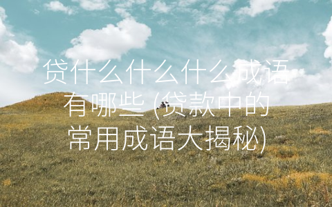 贷什么什么什么成语有哪些 (贷款中的常用成语大揭秘)