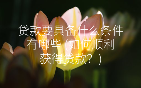贷款要具备什么条件有哪些 (如何顺利获得贷款？)