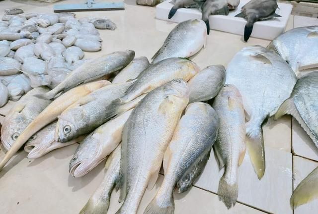 小黄花鱼和大黄鱼花有什么区别 小黄花和黄花鱼的区别