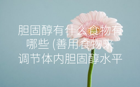 胆固醇有什么食物有哪些 (善用食物来调节体内胆固醇水平)