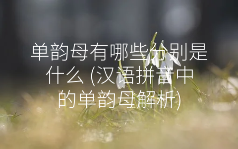 单韵母有哪些分别是什么 (汉语拼音中的单韵母解析)