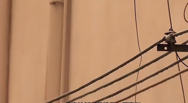 云南小伙13年内第6次入狱图24