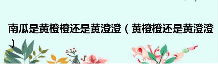 南瓜是黄橙橙还是黄澄澄 黄橙橙还是黄澄澄