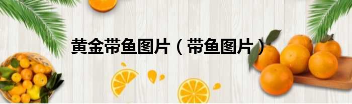 黄金带鱼图片 带鱼图片