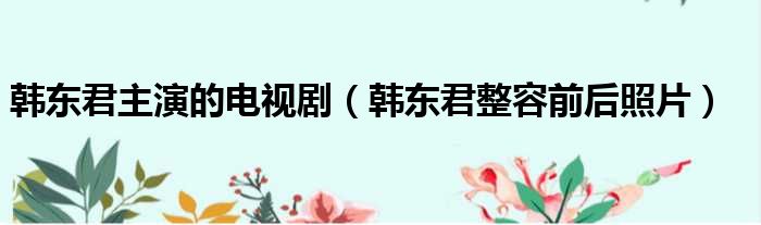 韩东君主演的电视剧 韩东君整容前后照片