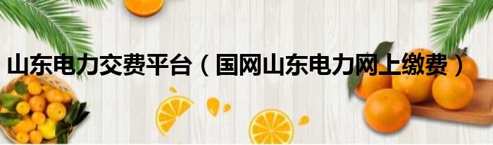山东电力交费平台 国网山东电力网上缴费