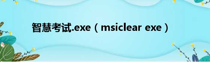 智慧考试.exe msiclear exe