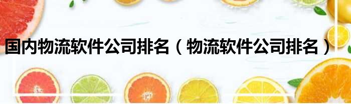 国内物流软件公司排名 物流软件公司排名