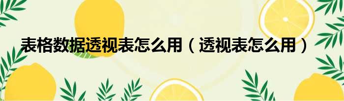 表格数据透视表怎么用 透视表怎么用