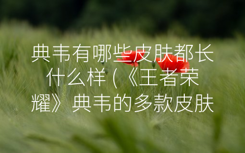 典韦有哪些皮肤都长什么样 (《王者荣耀》典韦的多款皮肤盘点)