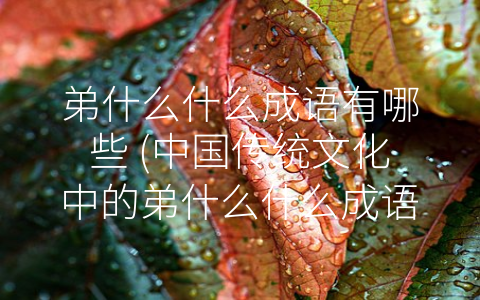 弟什么什么成语有哪些 (中国传统文化中的弟什么什么成语，传递着哪些深刻的家庭价值观念？)