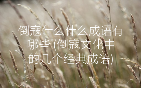 倒寇什么什么成语有哪些 (倒寇文化中的几个经典成语)