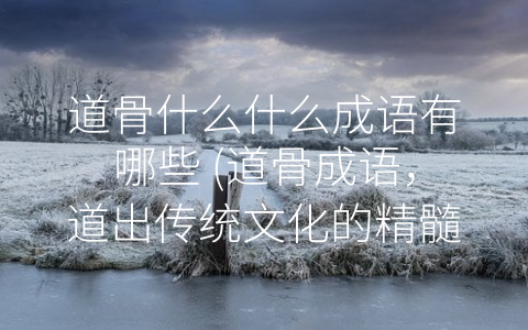 道骨什么什么成语有哪些 (道骨成语，道出传统文化的精髓之所在)