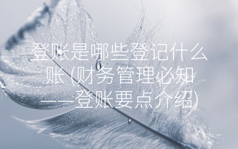 登账是哪些登记什么账 (财务管理必知——登账要点介绍)