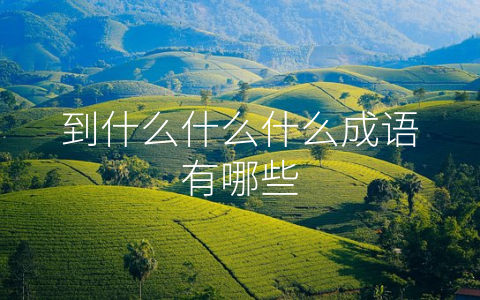 到什么什么什么成语有哪些