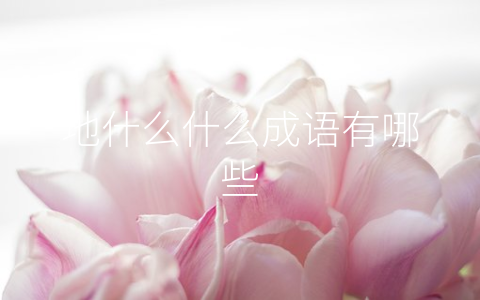 地什么什么成语有哪些