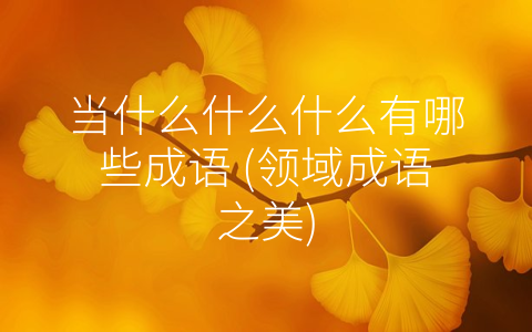 当什么什么什么有哪些成语 (领域成语之美)